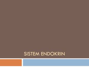 sistem endokrin