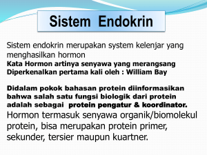 endokrin - Fapet C 2010