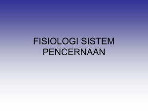 fisiologi sistem pencernaan