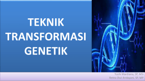 teknik transformasi genetika