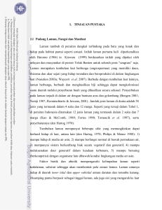 1. TINJAUAN PUSTAKA 2.1 Padang Lamun