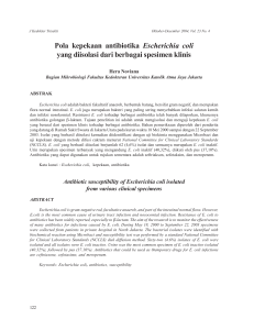 Pola kepekaan antibiotika Escherichia coli yang diisolasi dari