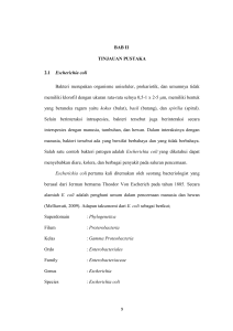 BAB II TINJAUAN PUSTAKA 2.1 Escherichia coli Bakteri merupakan