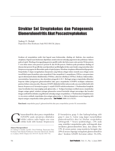 Struktur Sel Streptokokus dan Patogenesis