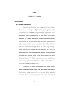 7 BAB II TINJAUAN PUSTAKA 2.1 Mikronikleus 2.1.1