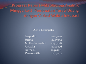 Progress Report Mikrobiologi Analitik: Pembuatan Terasi dengan