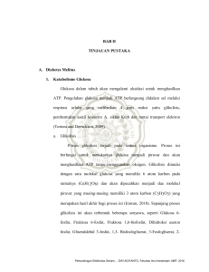 BAB II TINJAUAN PUSTAKA A. Diabetes Melitus 1. Katabolisme