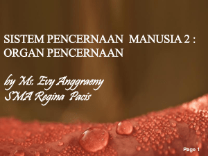 by Ms. Evy Anggraeny SMA Regina Pacis