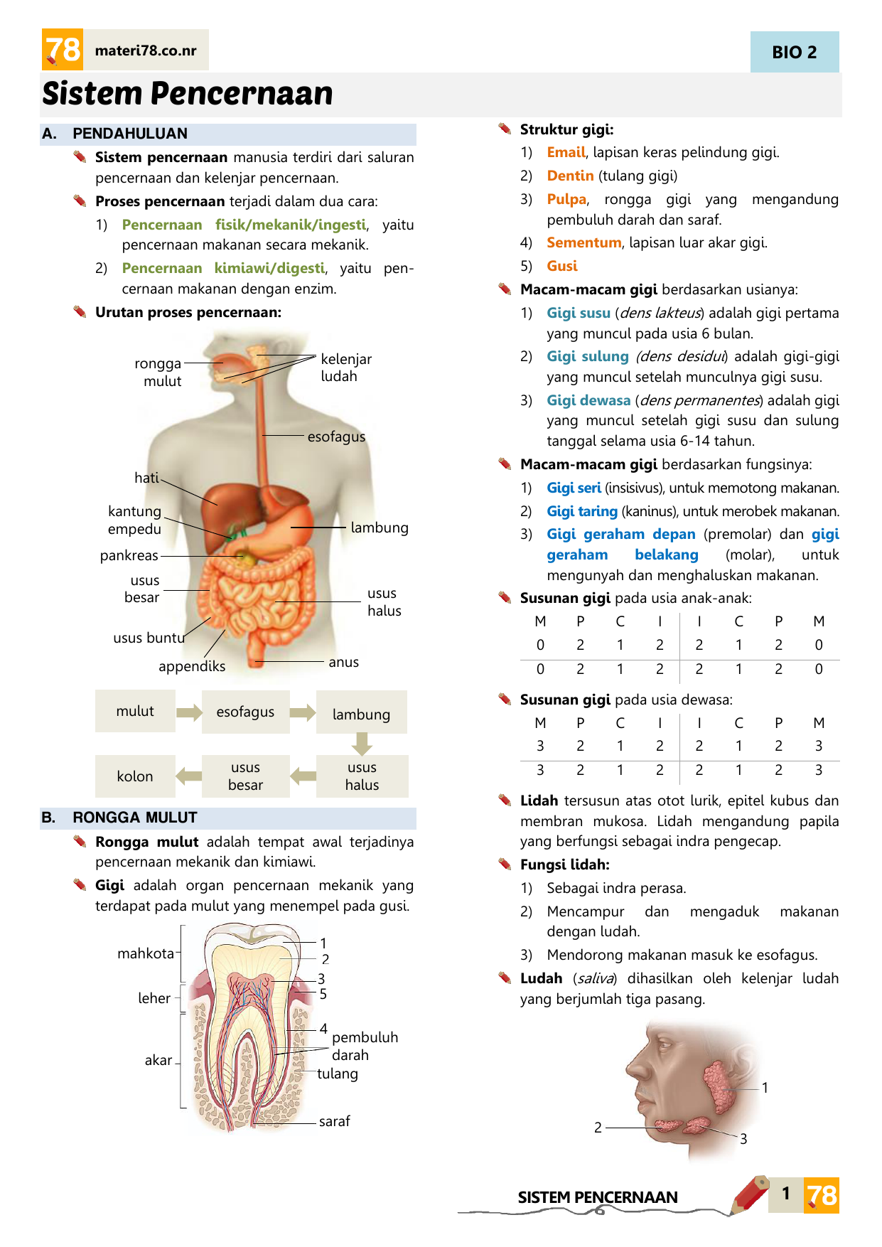 Materi78 Sistem Reproduksi Homecare24 4414