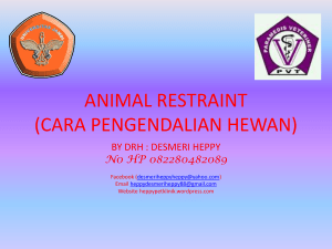 animal restrain (cara pengendalian hewan)
