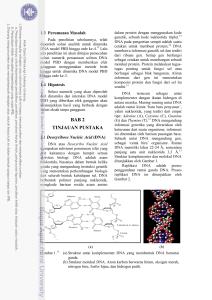 Dinamika Dan Interaksi Soliton DNA Model Peyrard