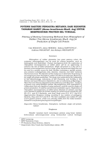 3 umi bakteri methanol - Puslit Karet E-Journal System