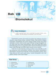 Biomolekul Bab VIII