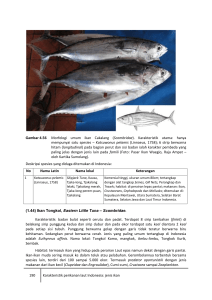 190 Karakteristik perikanan laut Indonesia: jenis ikan Gambar 4.56