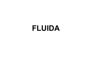 fluida - WordPress.com