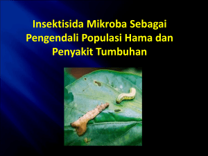 Contoh penggunaan Insektisida Bakteri Bacillus