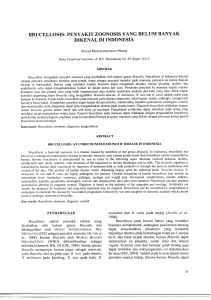 brucellosis: penyakit zoonosis yang belum banyak