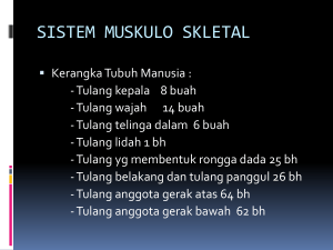 SISTEM MUSKULO SKLETAL