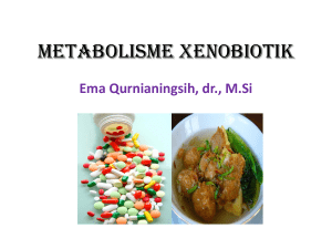 METABOLISME XENOBIOTIK