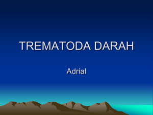TREMATODA DARAH