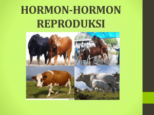 hormon-hormon reproduksi