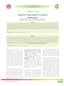 Malaria Plasmodium knowlesi