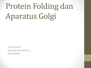 4. protein folding dan aparatus golgi,edittri (2014)