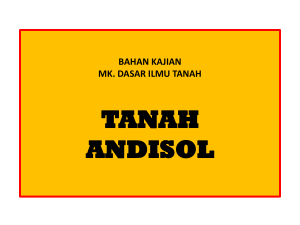 tanah andisol