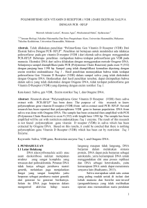 1 POLIMORFISME GEN VITAMIN D RESEPTOR ( VDR )