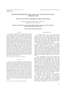 METODE EKSTRAKSI DNA PADA Jatropha spp. TANPA