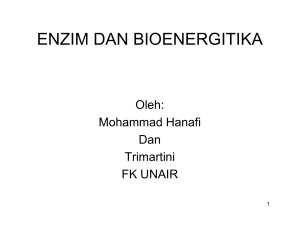 ENZIM DAN BIOENERGITIKA