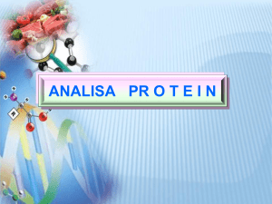 11 Analisa Protein -e-learning XI