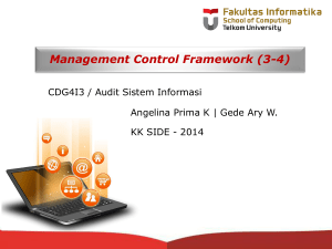management control framework (3-4)