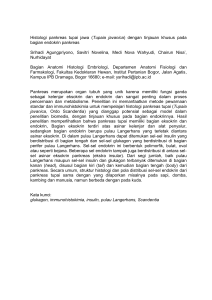 Histologi pankreas tupai jawa (Tupaia javanica)