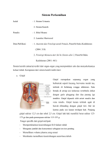 fg 6 – sistem perkemihan