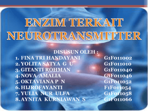 enzim yang terkait neurotransmitter