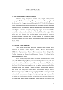 1 II. TINJAUAN PUSTAKA 2.1. Morfologi Tanaman Pisang (Musa spp.)