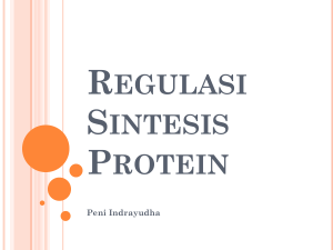 Regulasi Sintesis Protein