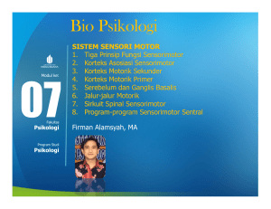 Bio Psikologi - Universitas Mercu Buana