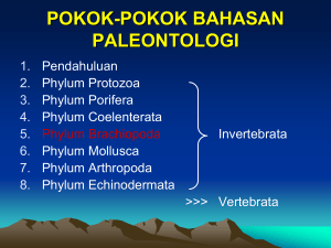 paleontologi - elista:.