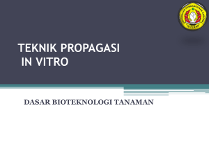 teknik propagasi in vitro - E