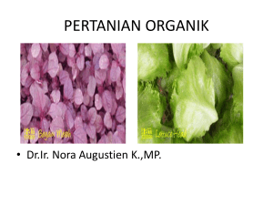pertanian organik