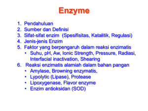 enzyme - DistroDoc
