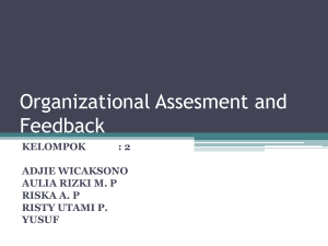 Organizational Assesment and Feedback