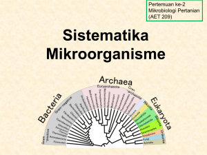 Klasifikasi Mikroorganisme