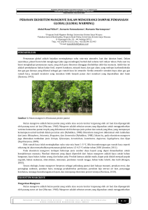 peranan ekosistem mangrove dalam mengurangi dampak
