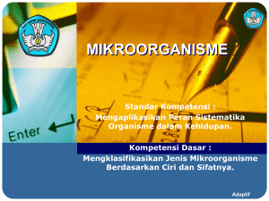 mikroorganisme2005-01