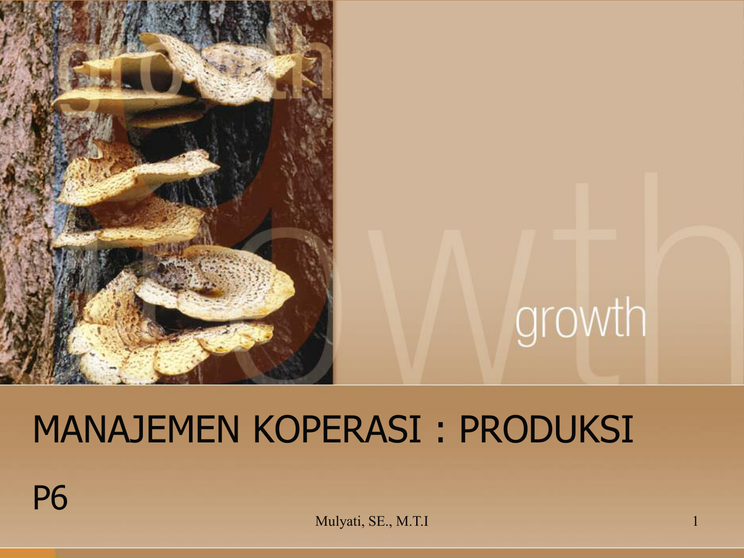 Identities discovered. Fungi Kingdom. Introduction to fungi. Growth conditions for fungi. Fungi fun guy.