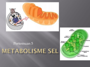 Metabolisme Sel - TADRIS BIOLOGI IAIN JEMBER