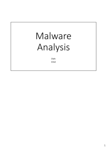 Malware Analysis - DimZ